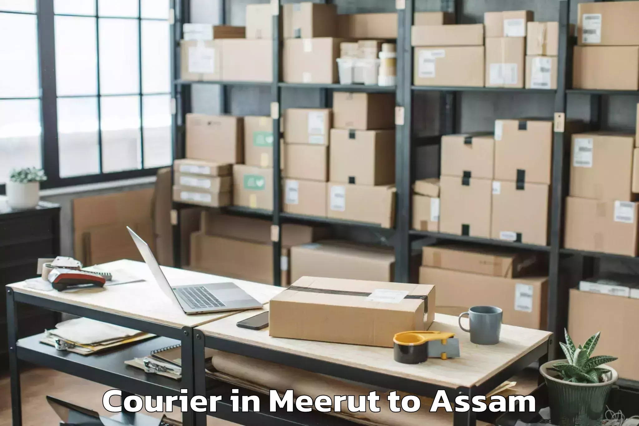 Meerut to Bijni Pt Courier Booking